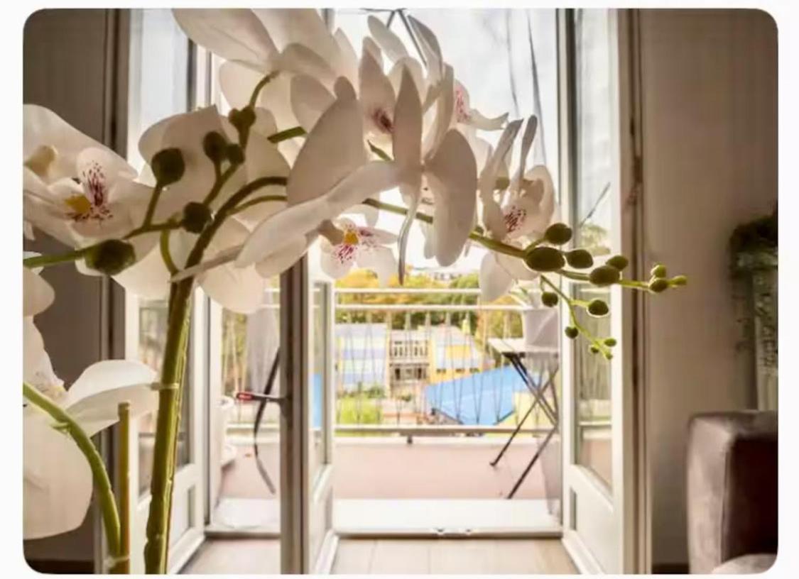 Appartement Casa Wilson *